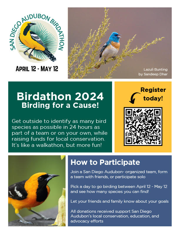 2024 San Diego Audubon Society Birdathon. Click here for information and to register!