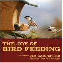 Joy of Bird Feeding